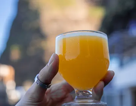 Boissons typiques de Madere et poncha